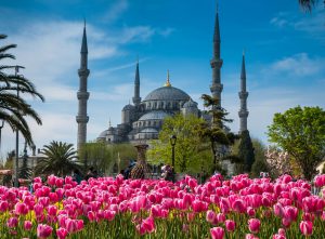 Мечеть всегда тонет в цветах в своих садах